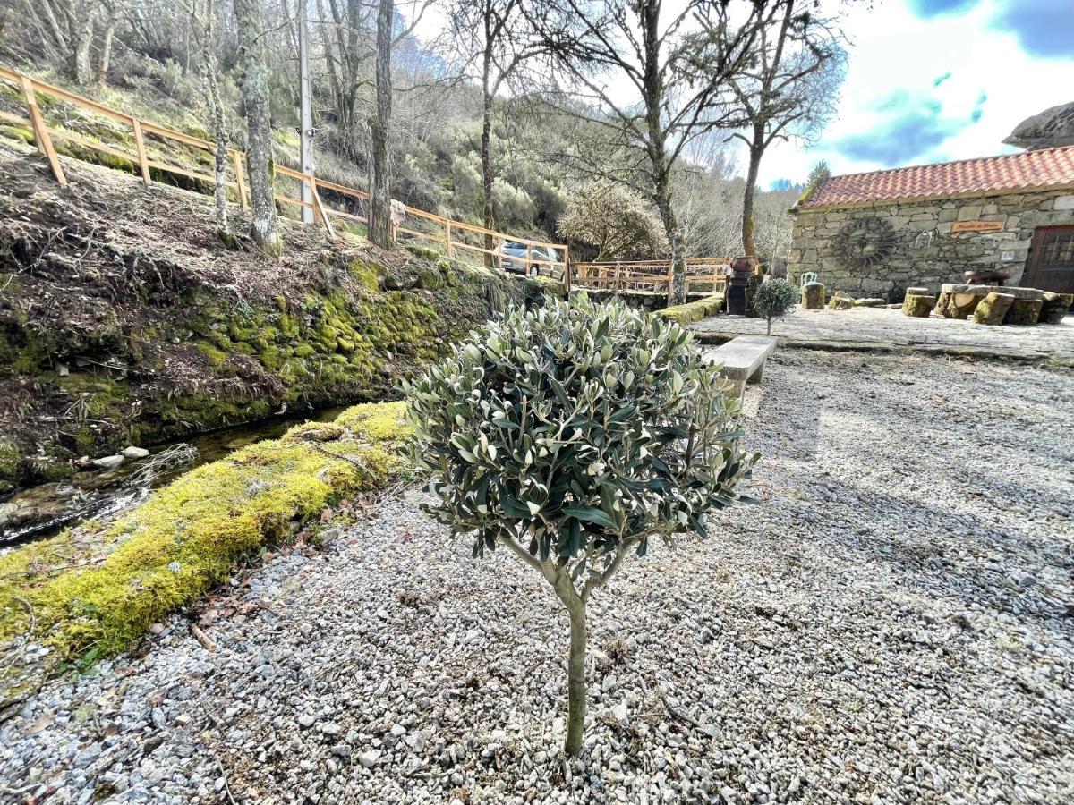 Villa Moinho De Briao Montalegre Exterior foto
